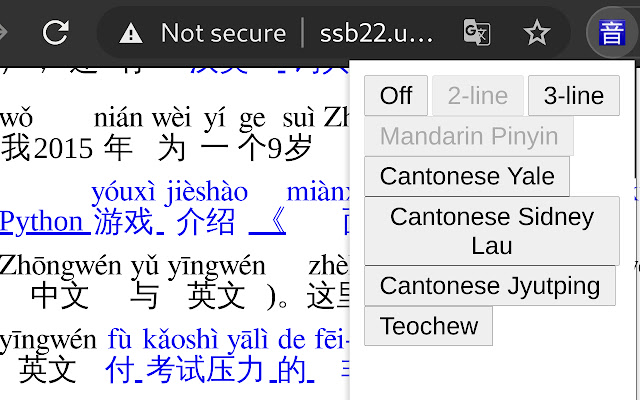 Pinyin Web  from Chrome web store to be run with OffiDocs Chromium online