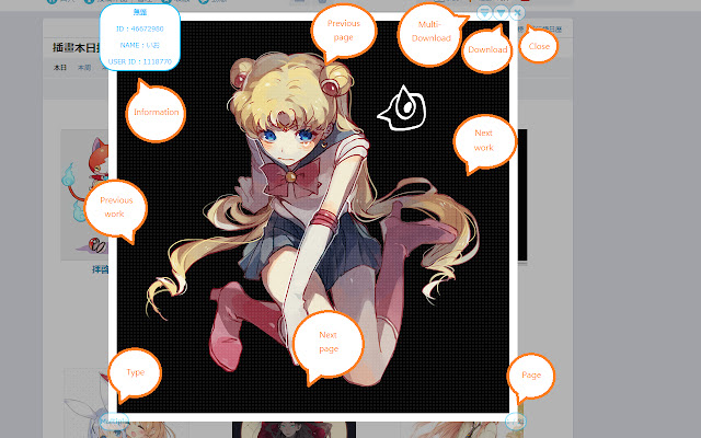 PIXIV Viewer  from Chrome web store to be run with OffiDocs Chromium online