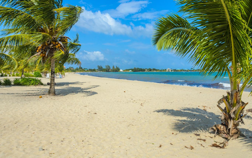 Placencia  from Chrome web store to be run with OffiDocs Chromium online