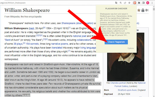 Plagiarism Checker  from Chrome web store to be run with OffiDocs Chromium online