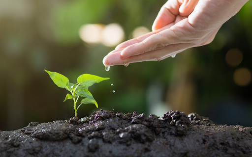 Plant green trees  from Chrome web store to be run with OffiDocs Chromium online
