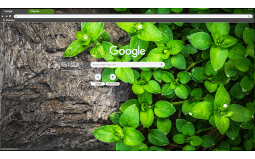 plants  from Chrome web store to be run with OffiDocs Chromium online