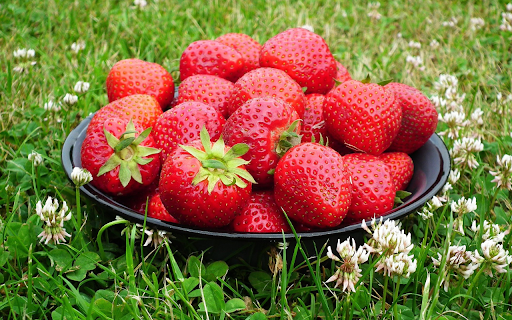 Plate of strawberries in the grass garden  from Chrome web store to be run with OffiDocs Chromium online