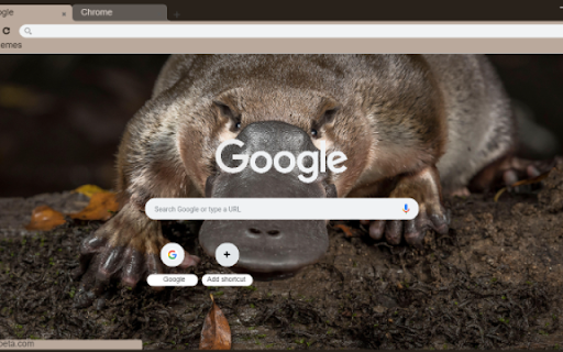 Platypus  from Chrome web store to be run with OffiDocs Chromium online