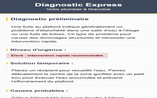Plombier Grenoble SAM Diagnostic Express  from Chrome web store to be run with OffiDocs Chromium online