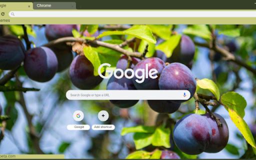 Plum  from Chrome web store to be run with OffiDocs Chromium online