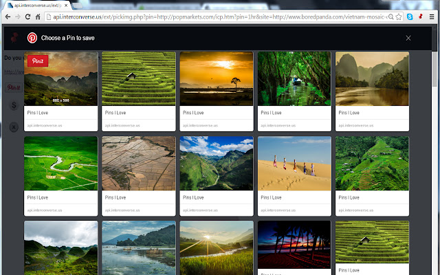 Pogo Extension  from Chrome web store to be run with OffiDocs Chromium online