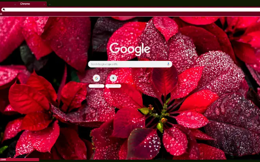 Poinsettia  from Chrome web store to be run with OffiDocs Chromium online