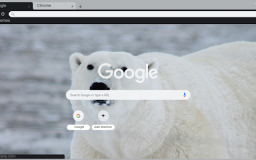 Polar bear  from Chrome web store to be run with OffiDocs Chromium online