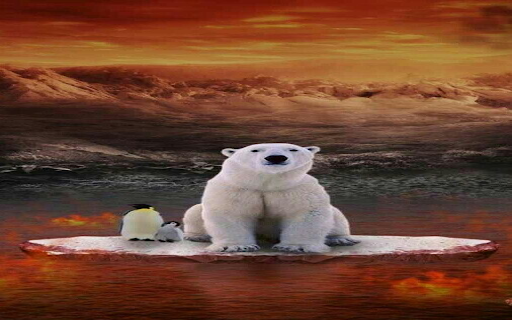 Polar bear and penguin wallpaper  from Chrome web store to be run with OffiDocs Chromium online