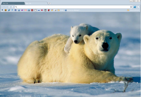 Polar Theme  from Chrome web store to be run with OffiDocs Chromium online