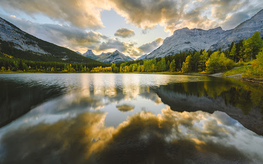 Pond reflecting green trees on the shore  from Chrome web store to be run with OffiDocs Chromium online