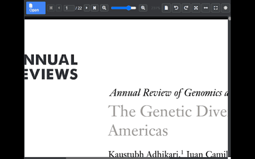 Popup PDF Viewer  from Chrome web store to be run with OffiDocs Chromium online
