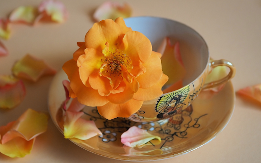 Porcelain enamel and flowers  from Chrome web store to be run with OffiDocs Chromium online