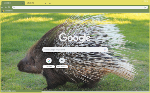 Porcupine  from Chrome web store to be run with OffiDocs Chromium online