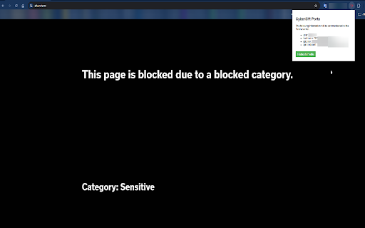 Porta  from Chrome web store to be run with OffiDocs Chromium online
