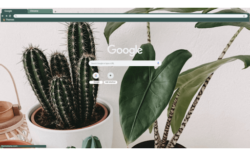 Potted Cacti  from Chrome web store to be run with OffiDocs Chromium online
