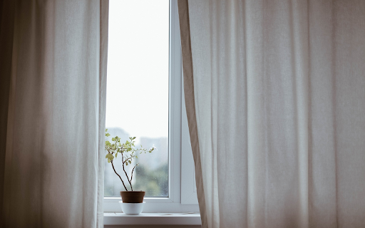 Potted plants next to the window  from Chrome web store to be run with OffiDocs Chromium online