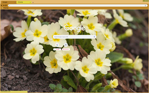 Primrose  from Chrome web store to be run with OffiDocs Chromium online