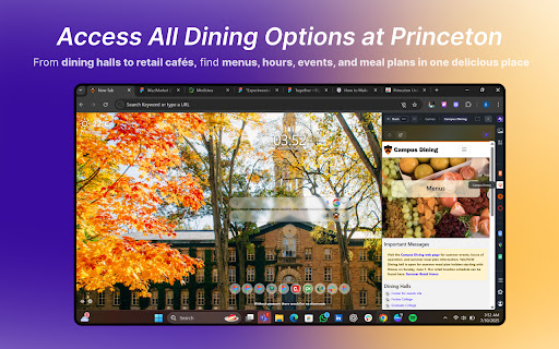 Princeton University MeaVana  from Chrome web store to be run with OffiDocs Chromium online
