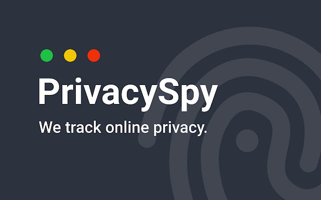 PrivacySpy  from Chrome web store to be run with OffiDocs Chromium online