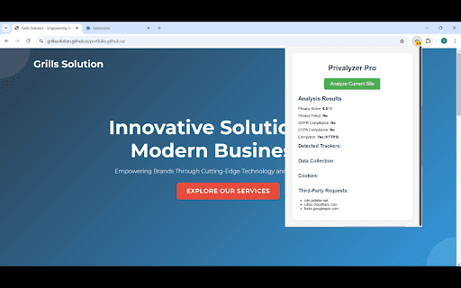 Privalyzer Pro  from Chrome web store to be run with OffiDocs Chromium online