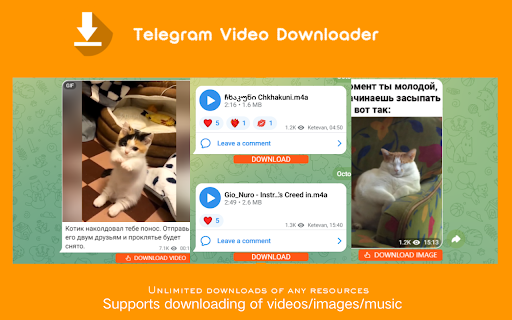 Private video downloader Telegram Private Video Downloader  from Chrome web store to be run with OffiDocs Chromium online