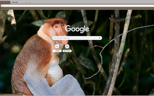 Proboscis Monkey  from Chrome web store to be run with OffiDocs Chromium online
