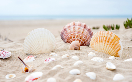 Products of the sea  from Chrome web store to be run with OffiDocs Chromium online