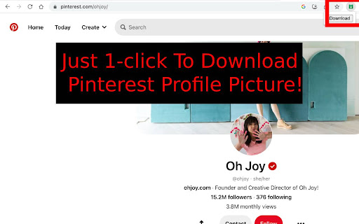 Profile Picture Downloader for Pinterest™  from Chrome web store to be run with OffiDocs Chromium online