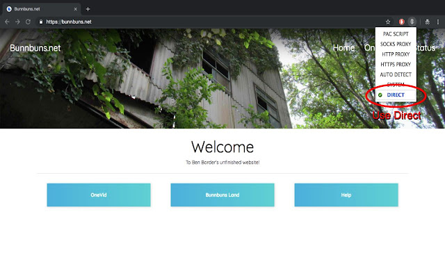 Proxy Helper  from Chrome web store to be run with OffiDocs Chromium online