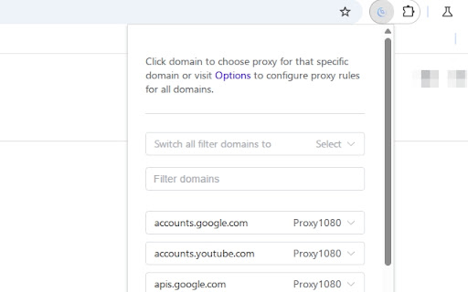 Proxy Switchy X  from Chrome web store to be run with OffiDocs Chromium online