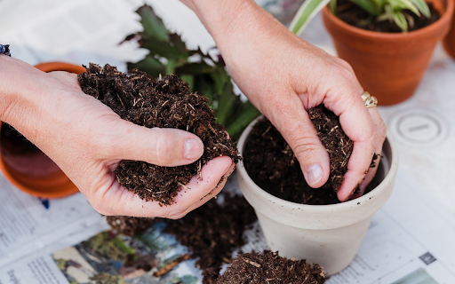 Prune trees to prepare soil  from Chrome web store to be run with OffiDocs Chromium online