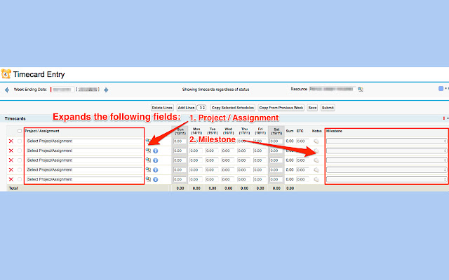 PSE Project/Milestone Expander Plugin  from Chrome web store to be run with OffiDocs Chromium online