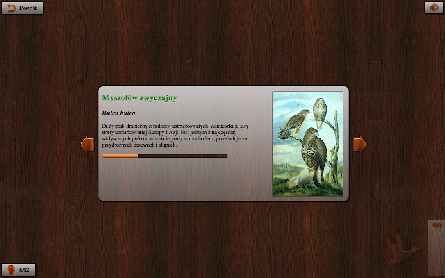 Ptasie Radio 2  from Chrome web store to be run with OffiDocs Chromium online