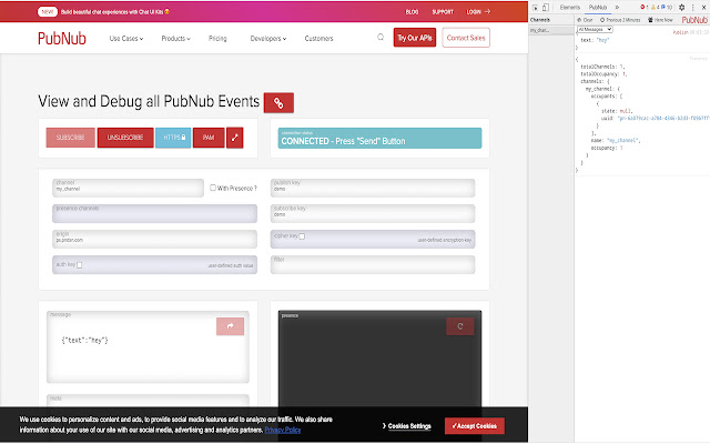 PubNub Developer Tools  from Chrome web store to be run with OffiDocs Chromium online