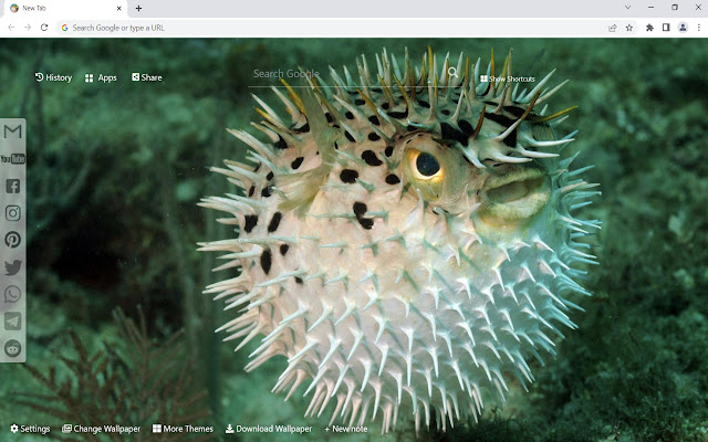 Pufferfish Wallpaper New Tab من متجر Chrome الإلكتروني ليتم تشغيلها مع OffiDocs Chromium عبر الإنترنت