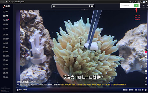 PullVideo  from Chrome web store to be run with OffiDocs Chromium online
