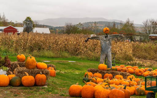 pumpkins and cornfields  from Chrome web store to be run with OffiDocs Chromium online