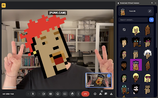 PunkCam Virtual Camera  from Chrome web store to be run with OffiDocs Chromium online