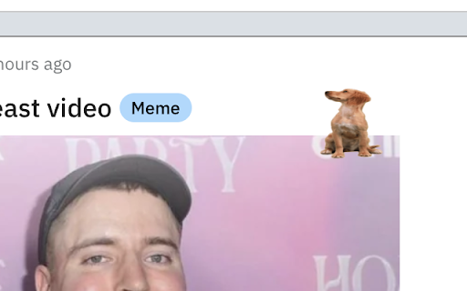 Pup Hunt  from Chrome web store to be run with OffiDocs Chromium online