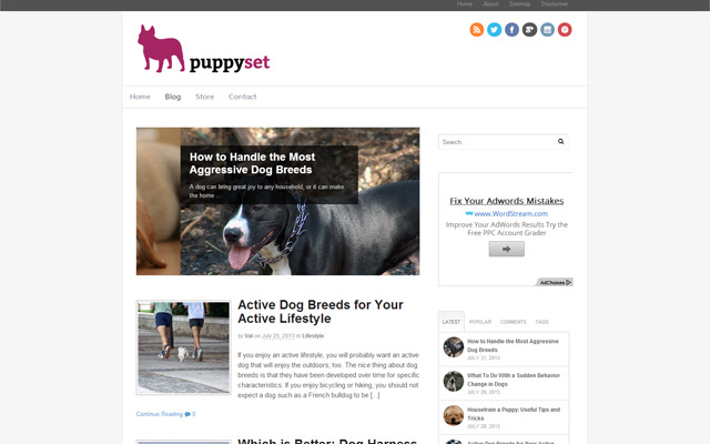 puppyset  from Chrome web store to be run with OffiDocs Chromium online