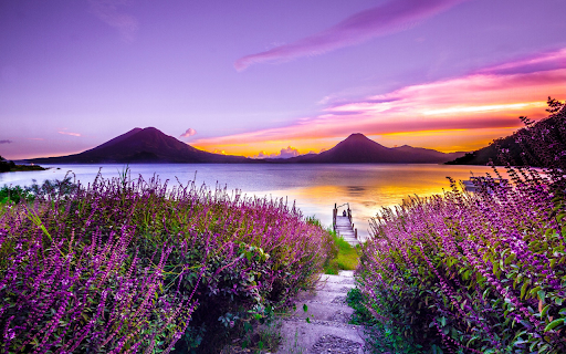 Purple flowers by the lake  from Chrome web store to be run with OffiDocs Chromium online