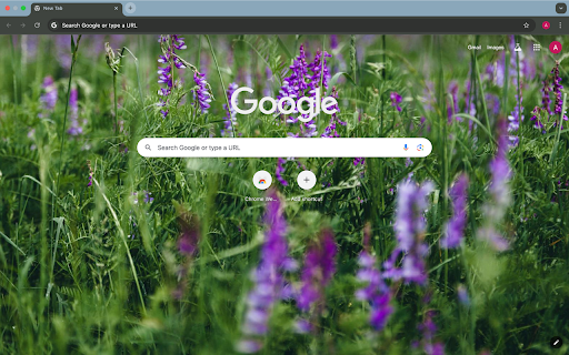 purple grass  from Chrome web store to be run with OffiDocs Chromium online