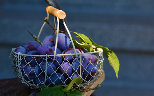 Purple Plums, Woven Baskets Velvet Bounty  from Chrome web store to be run with OffiDocs Chromium online