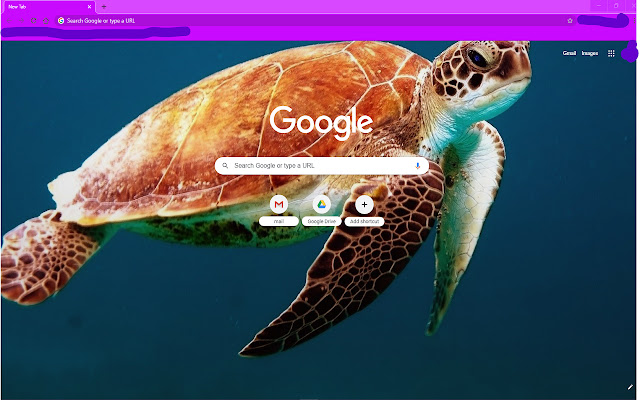 क्रोम वेब स्टोर से पर्पल टर्टल को ऑनलाइन ऑफीडॉक्स क्रोमियम के साथ चलाया जाएगा