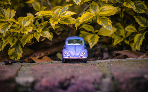 Purple Volkswagen Beetle Near Green Leaves  from Chrome web store to be run with OffiDocs Chromium online