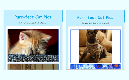 Purr fect Cat Pics  from Chrome web store to be run with OffiDocs Chromium online