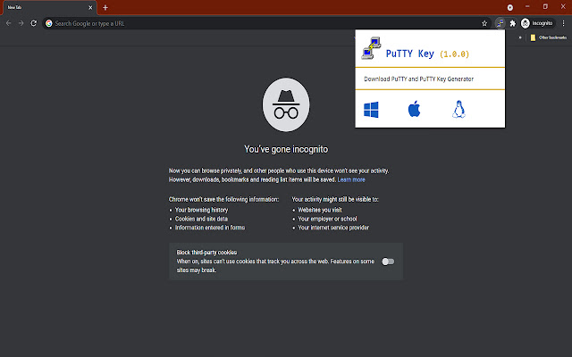 PuTTYKey  from Chrome web store to be run with OffiDocs Chromium online