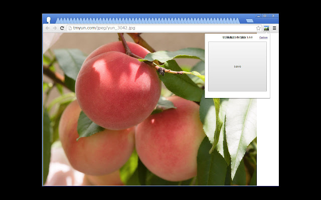 PYR Image Saver  from Chrome web store to be run with OffiDocs Chromium online